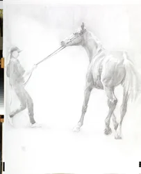 Résistance, 2011
